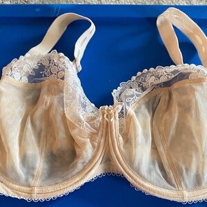 Felina Lace Underwire Bra - Cream